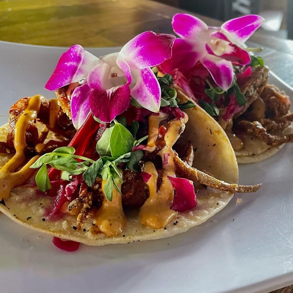 Two gourmet tacos with vibrant toppings, sauces, and pink orchid garnishes on a white plate.